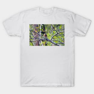 Eastern Bluebird T-Shirt